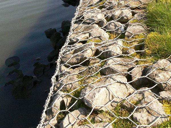 深圳固濱籠圖片2